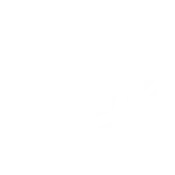 Keyshot